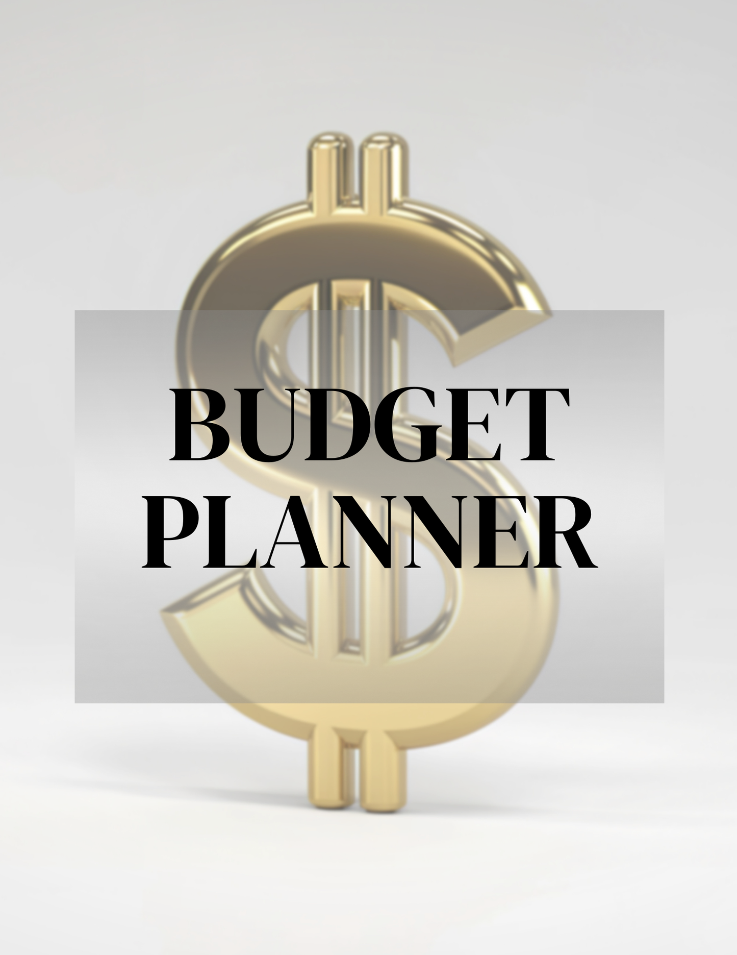 Budget Planner | 39-Page Business System | Printable + Digital Download